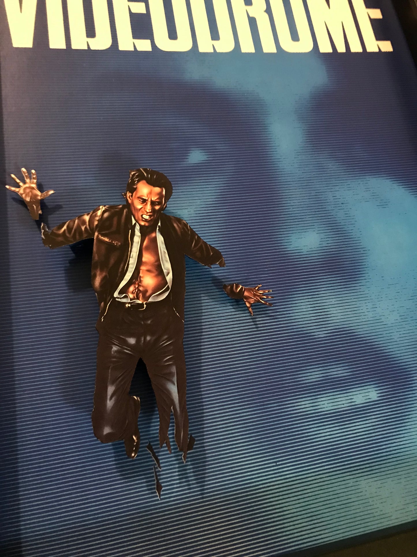 Videodrome (11x14)
