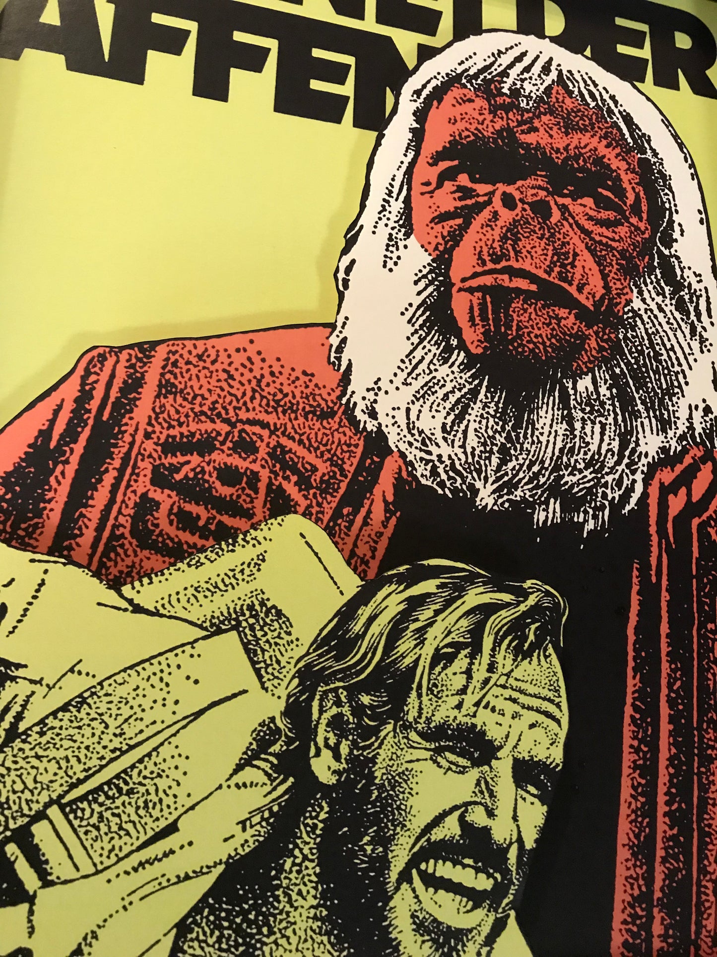 Planet of the Apes German (11x14)