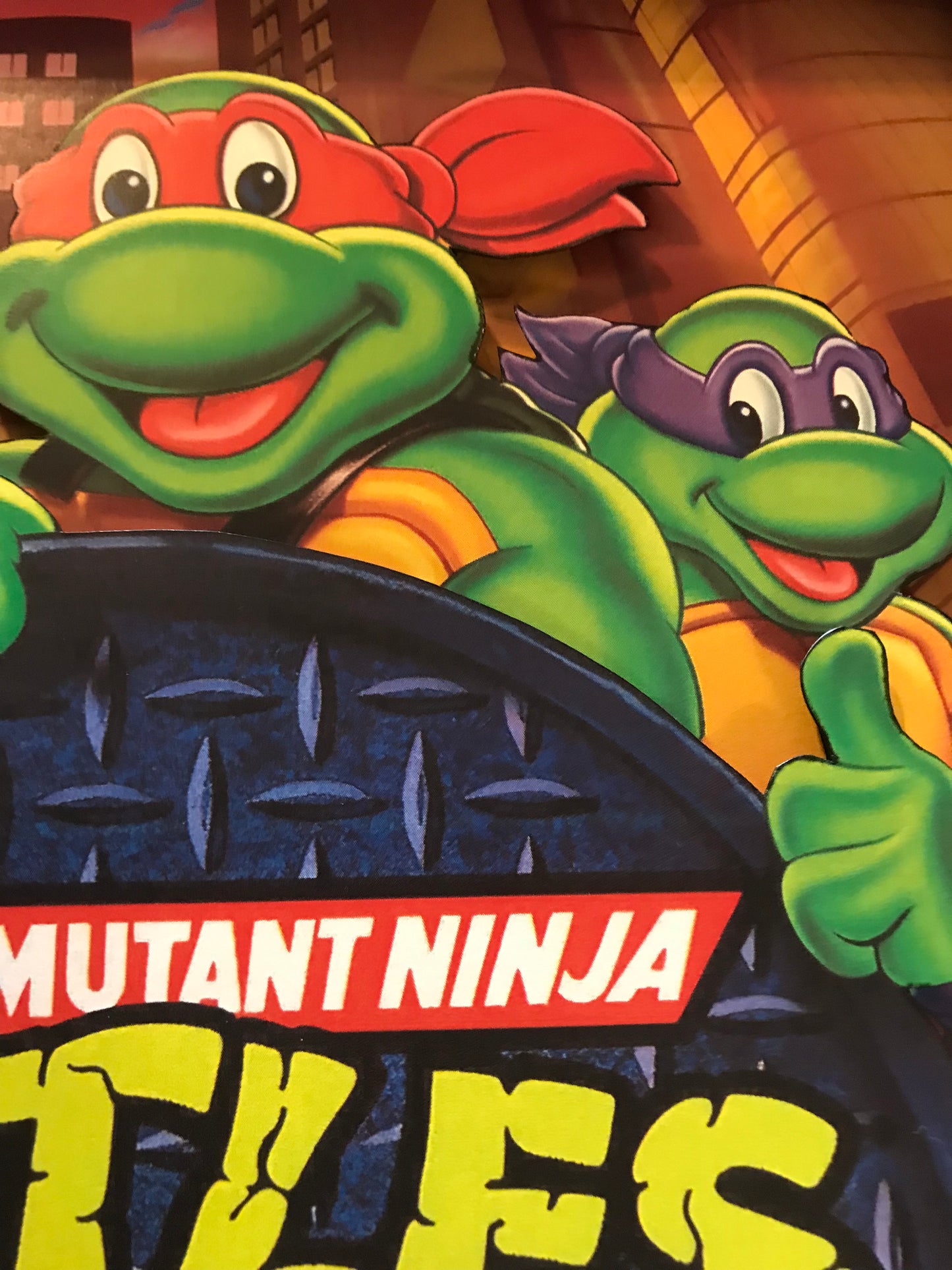 Teenage Mutant Ninja: The Animated Series (11x14)