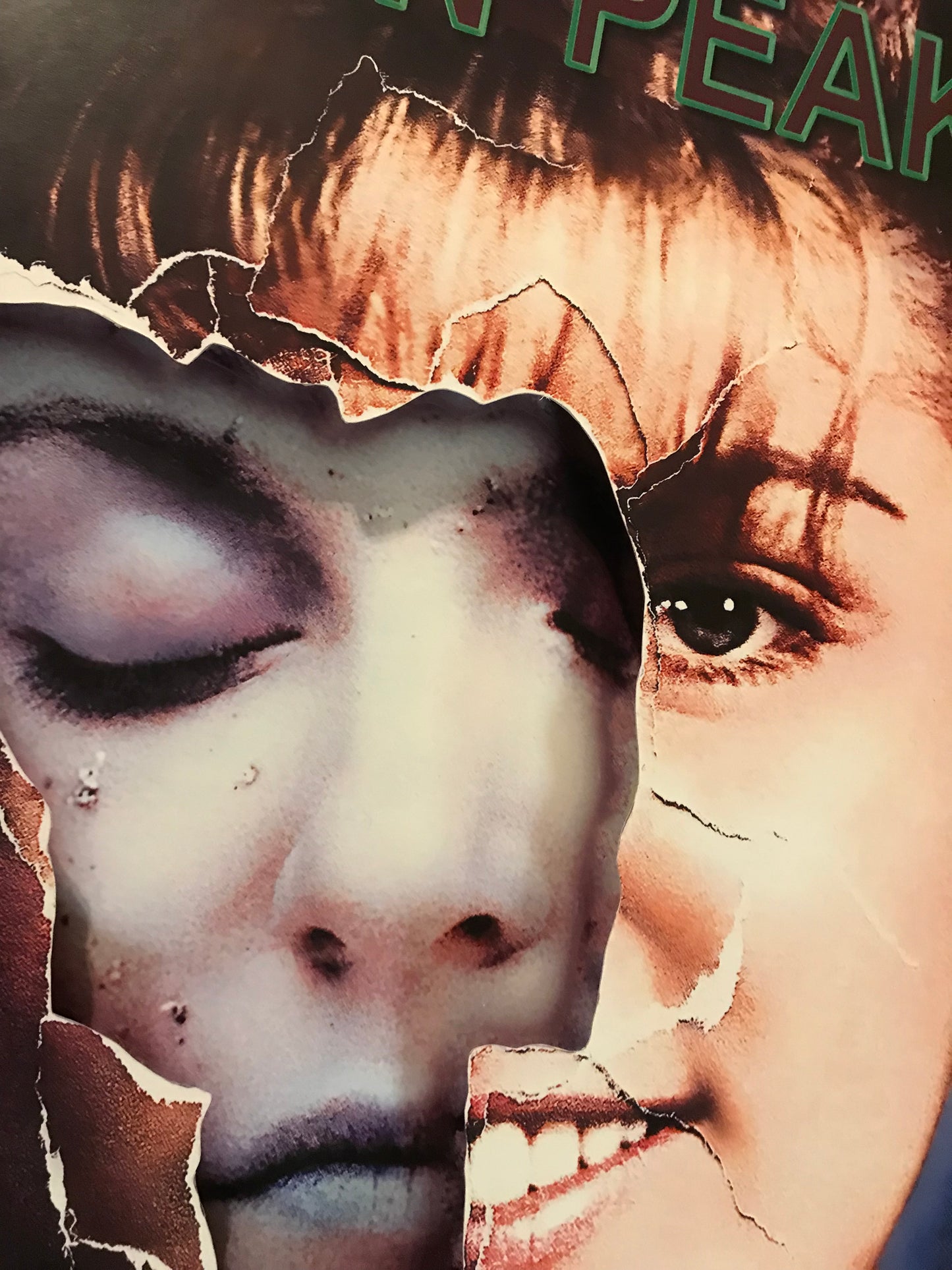 Twin Peaks (11x14)