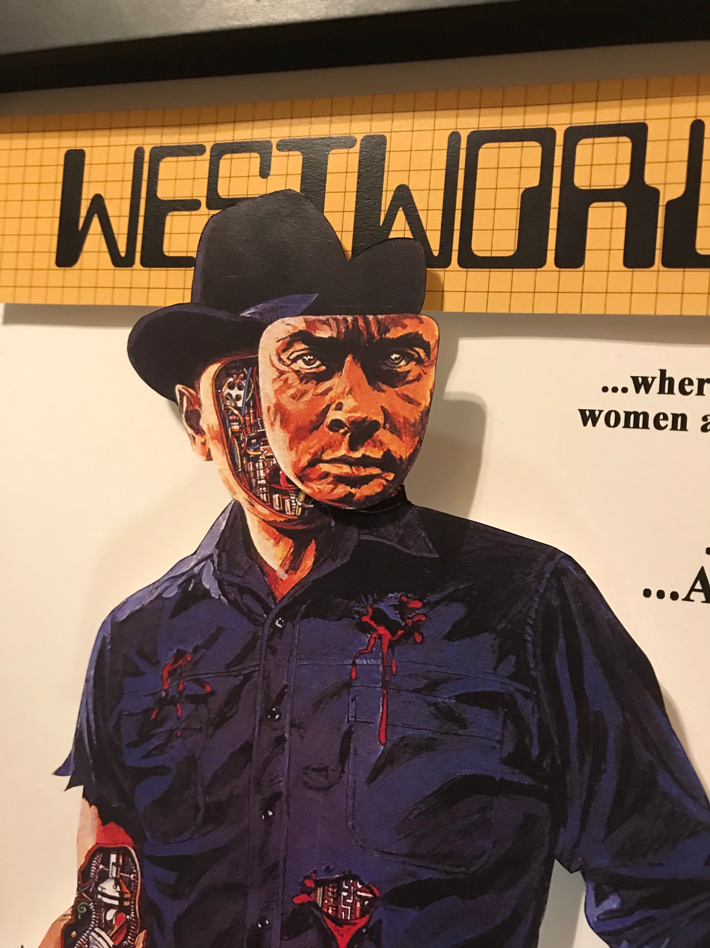 Westworld (11x14)
