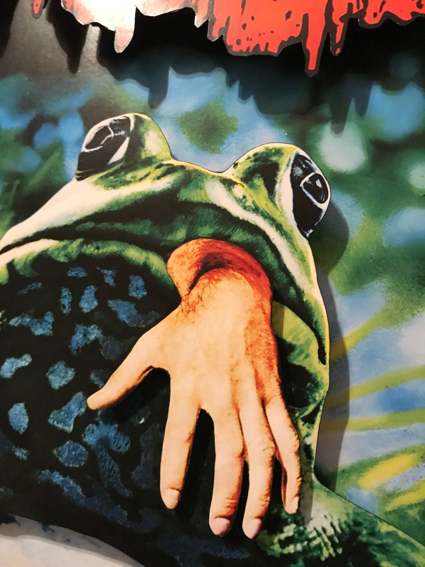 Frogs (11x14)