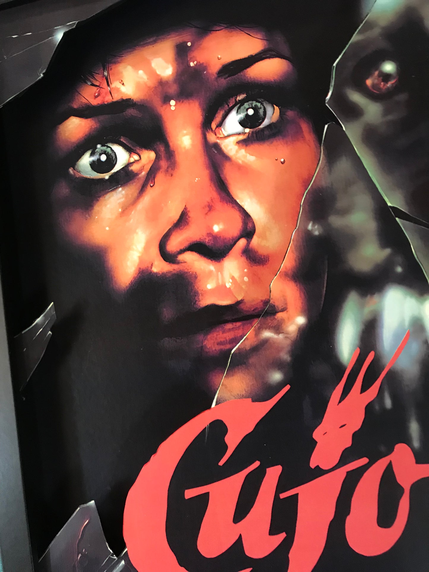 Cujo Broken Glass (11x14)