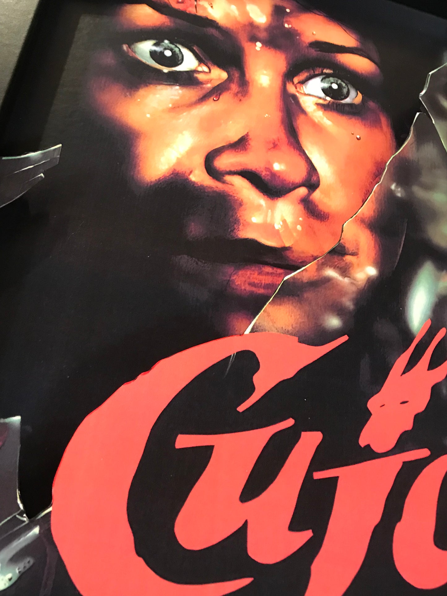Cujo Broken Glass (11x14)