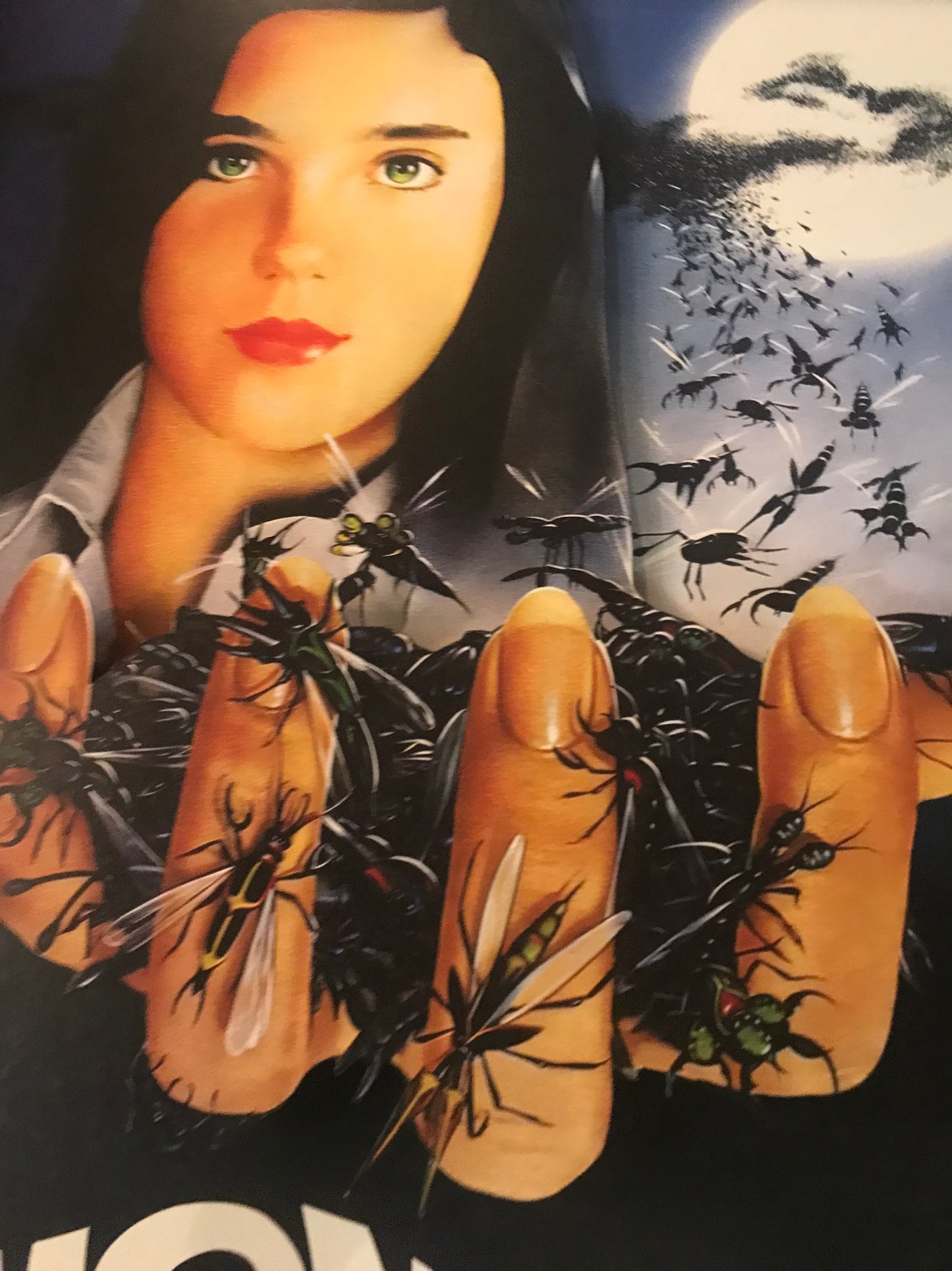 Phenomena (11x14)