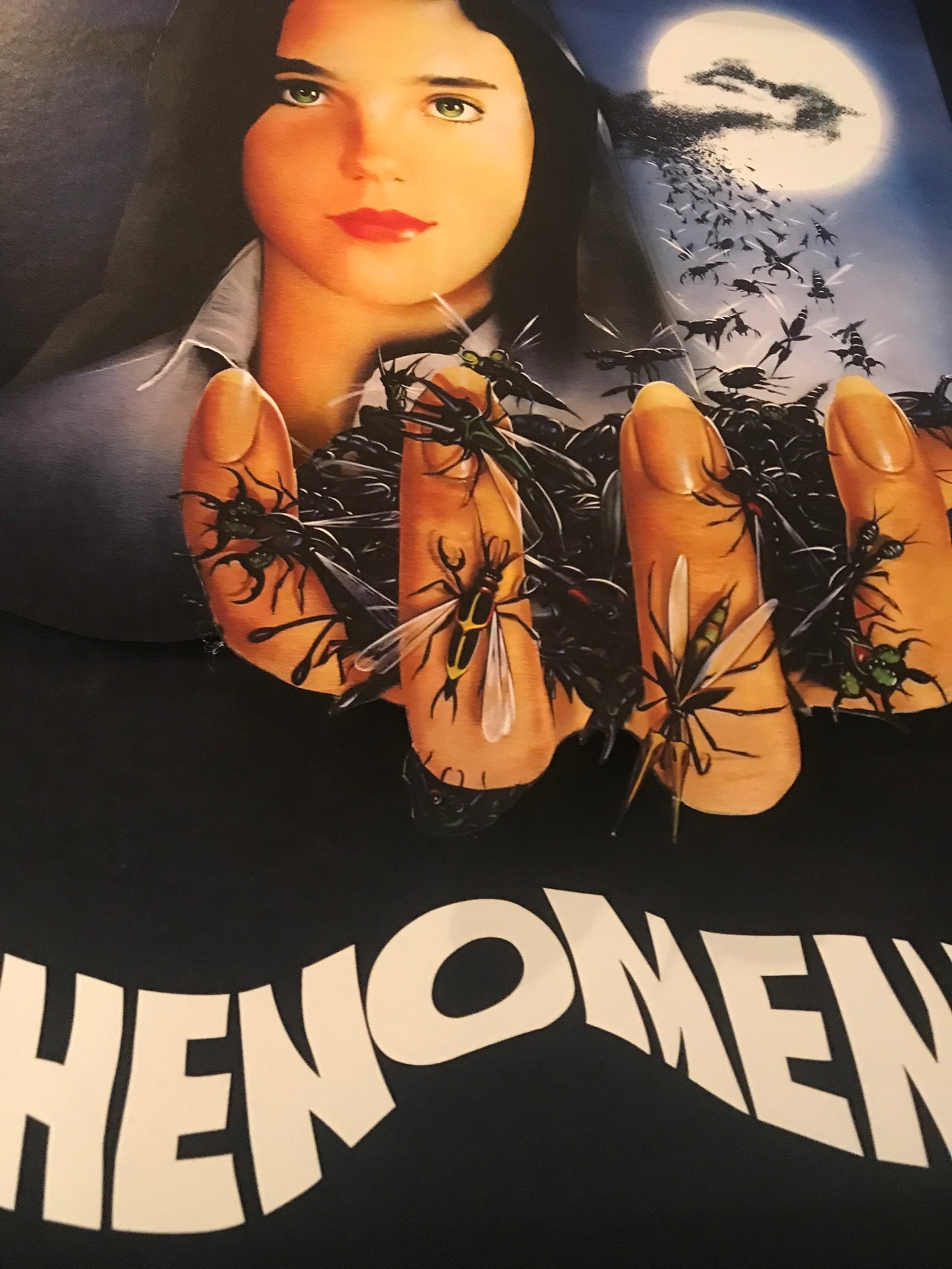 Phenomena (11x14)