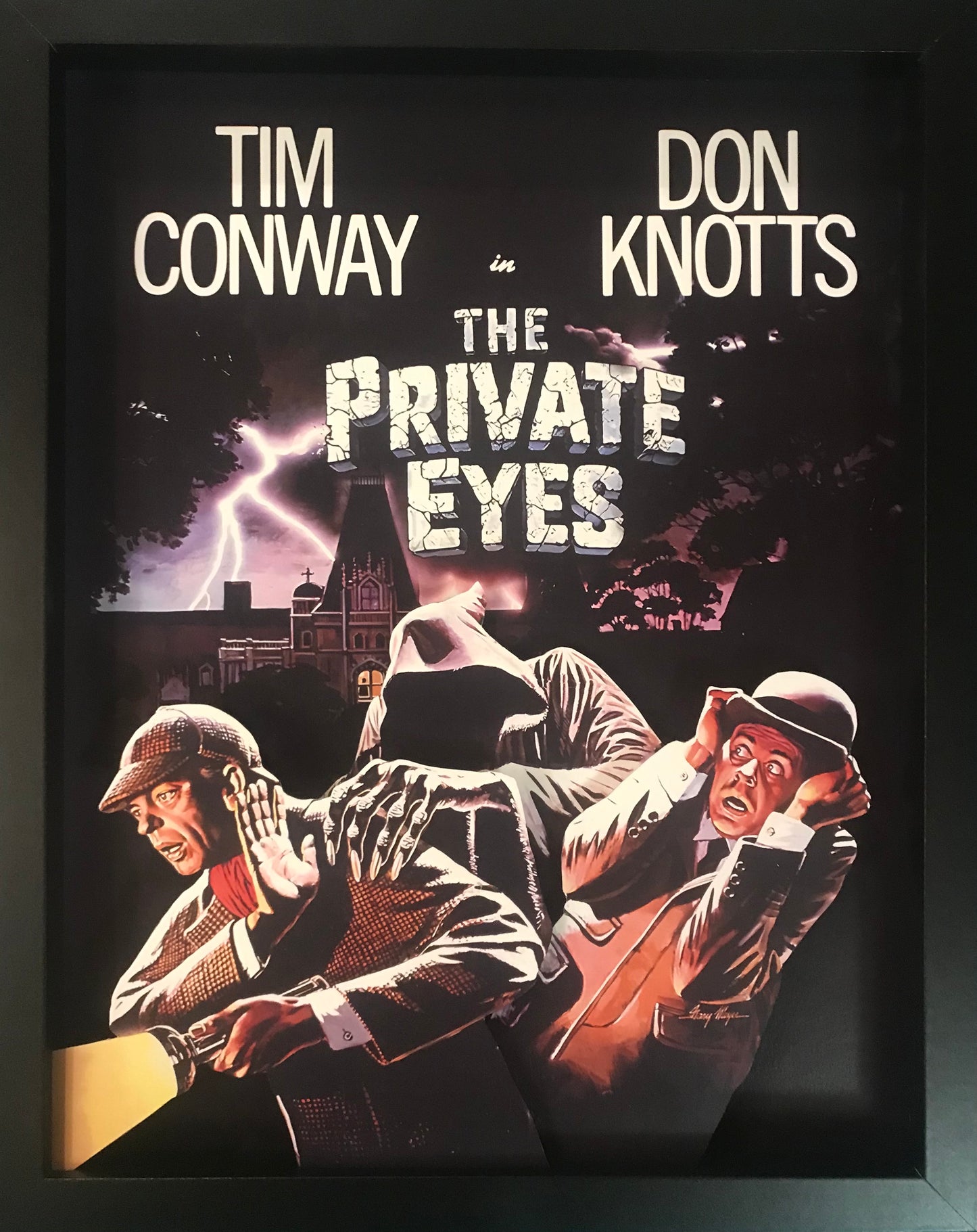 Private Eyes, The (11x14)
