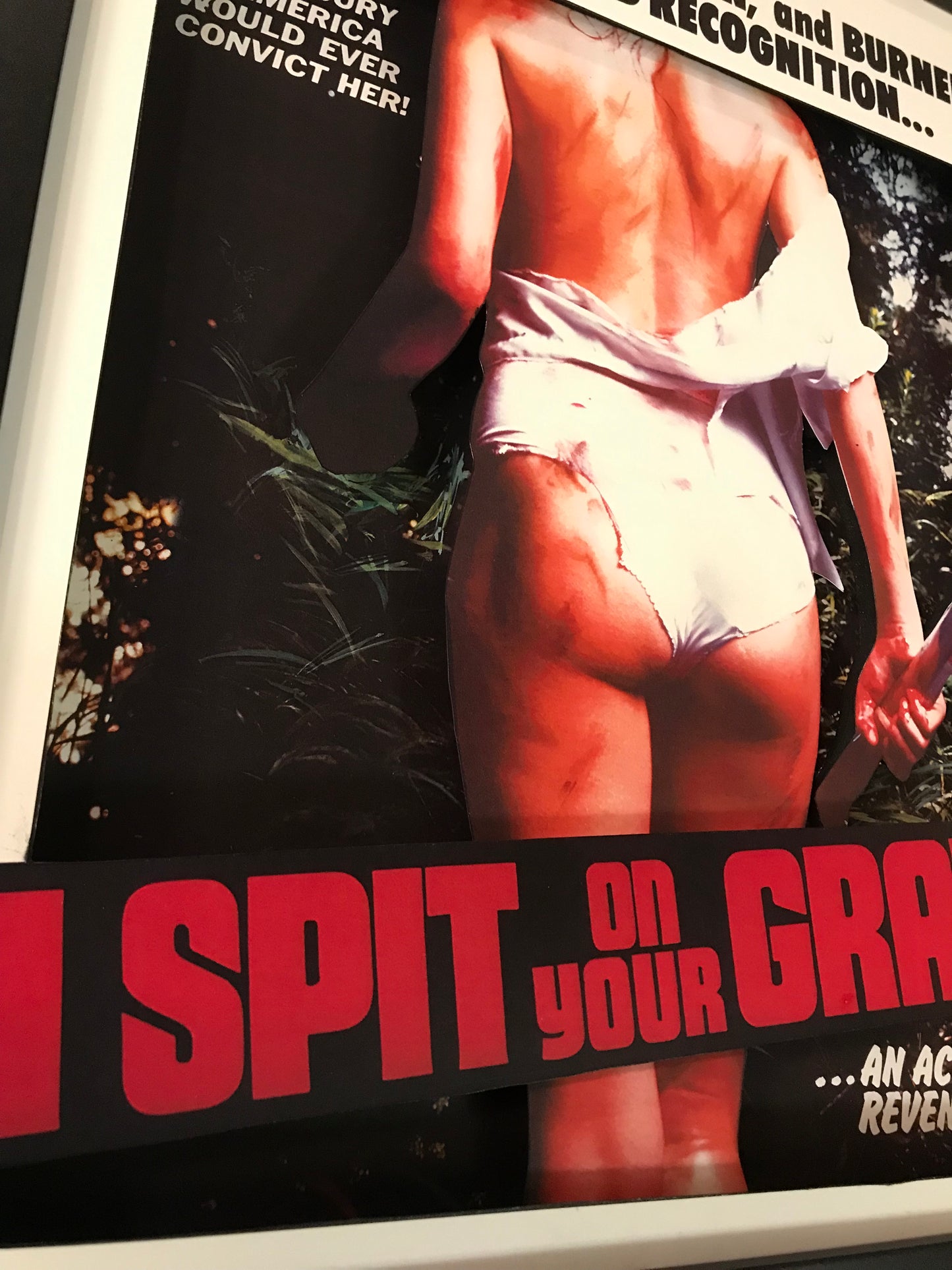 I Spit on Your Grave (11x14)