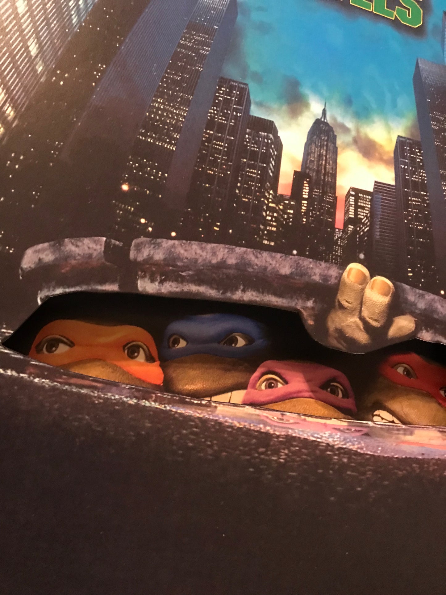 Teenage Mutant Ninja The Movie (11x14)