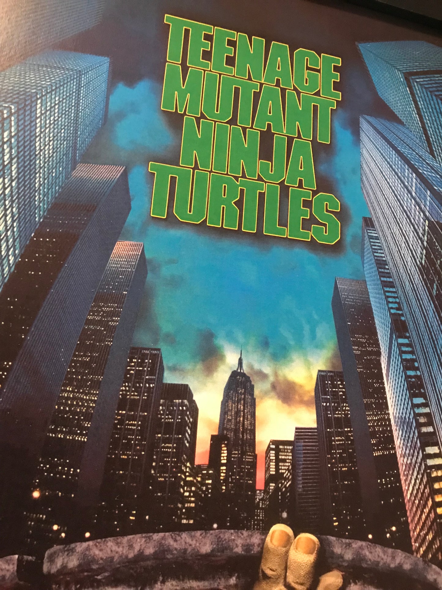 Teenage Mutant Ninja The Movie (11x14)