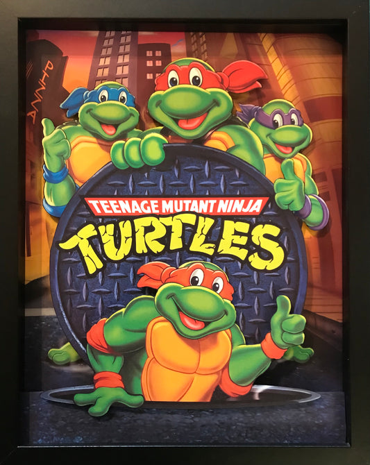 Teenage Mutant Ninja: The Animated Series (11x14)