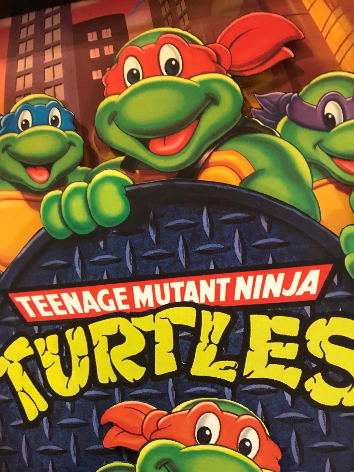 Teenage Mutant Ninja: The Animated Series (11x14)