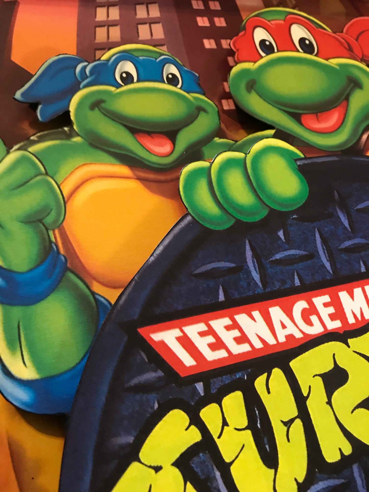 Teenage Mutant Ninja: The Animated Series (11x14)
