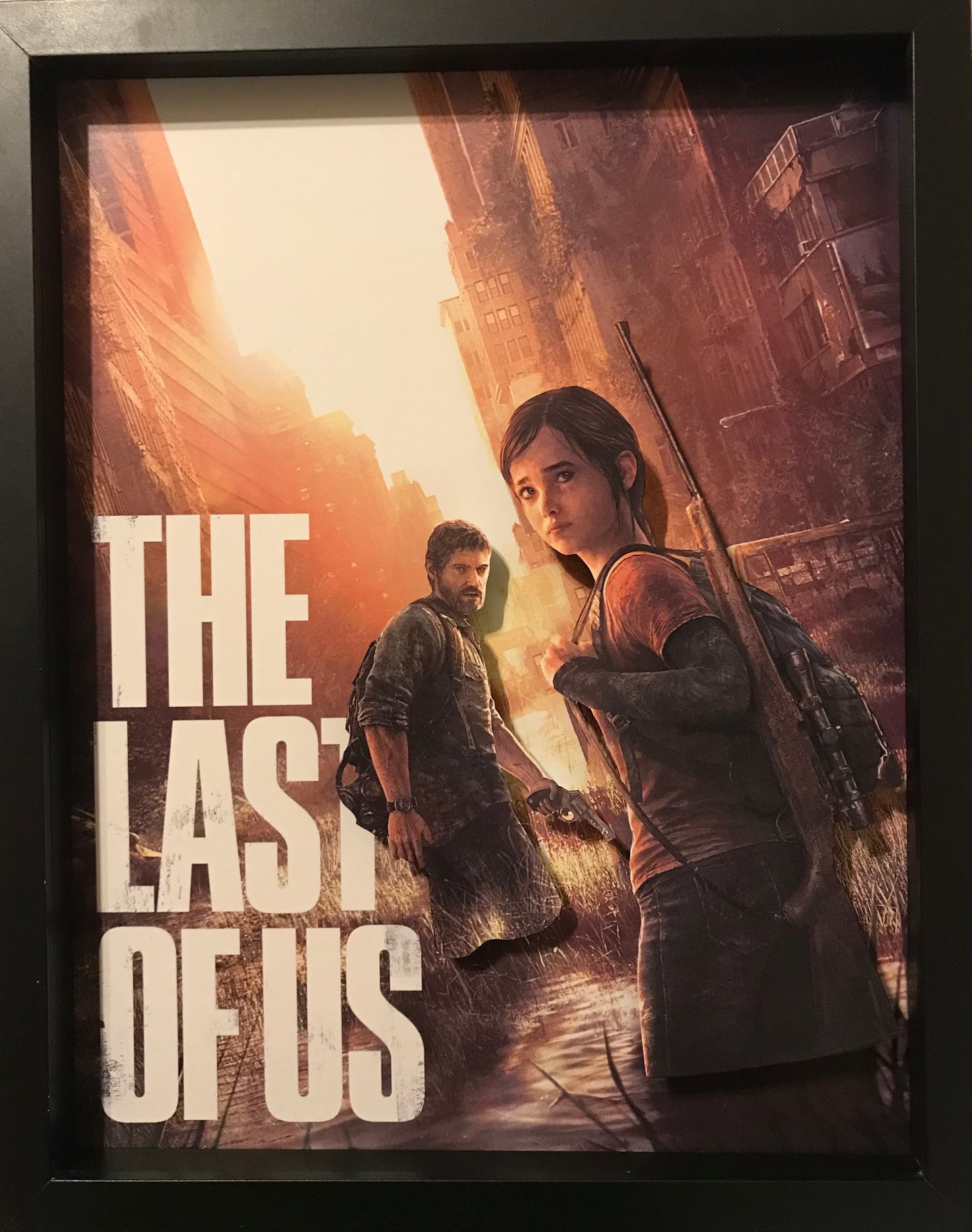 Last of Us (11x14)